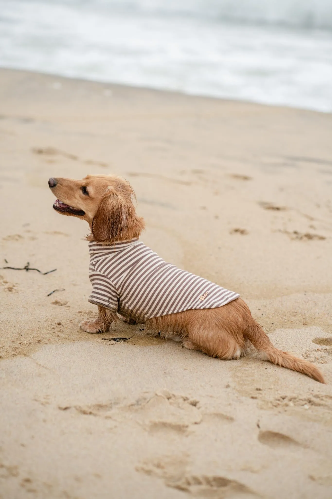 eloise turtleneck sweater - beige