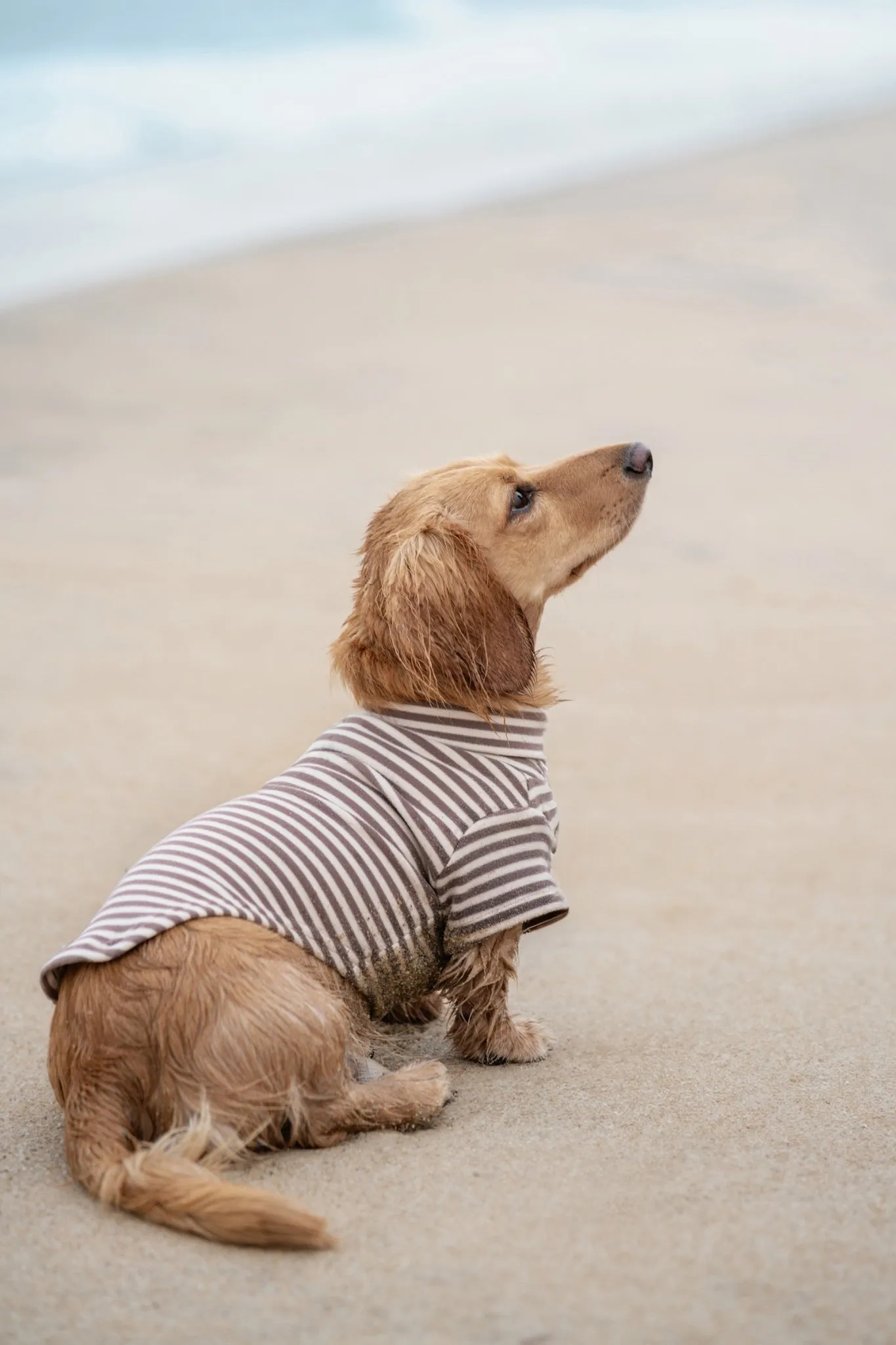 eloise turtleneck sweater - beige