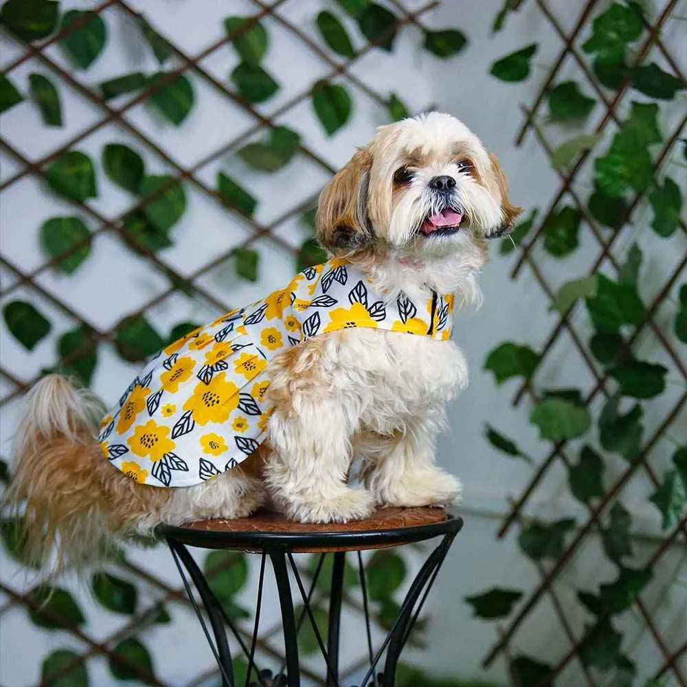 Pawshic Yellow Floral Dress