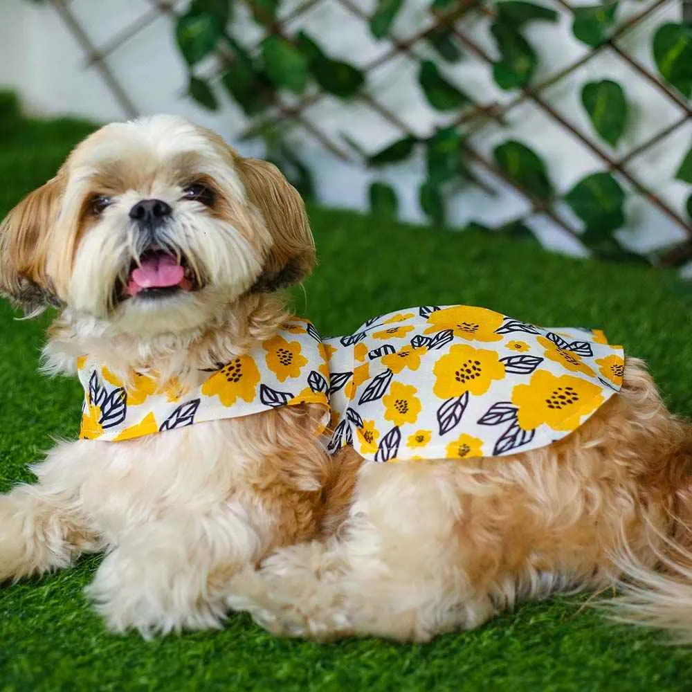 Pawshic Yellow Floral Dress